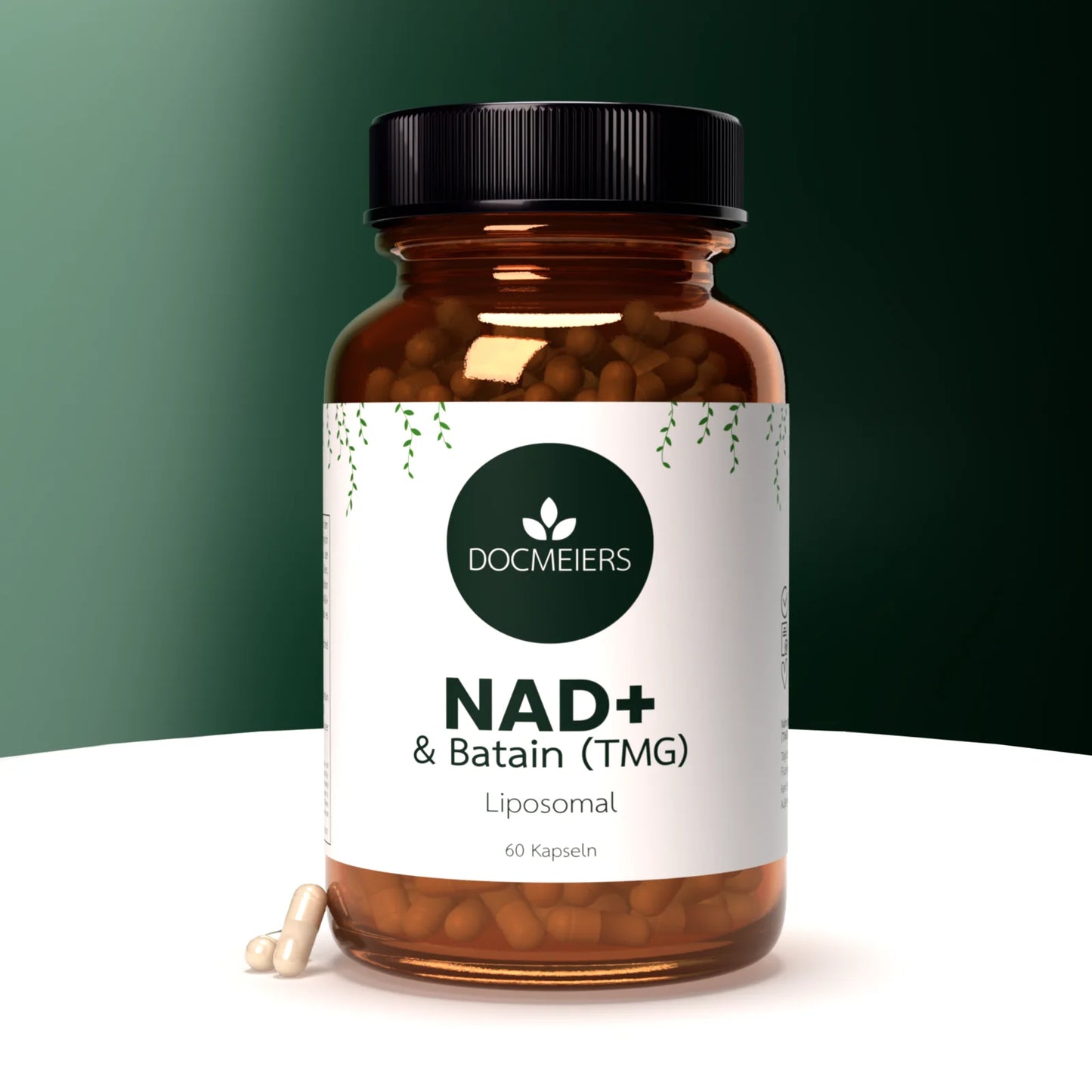 NAD⁺ & TMG