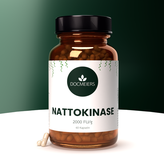 Nattokinase